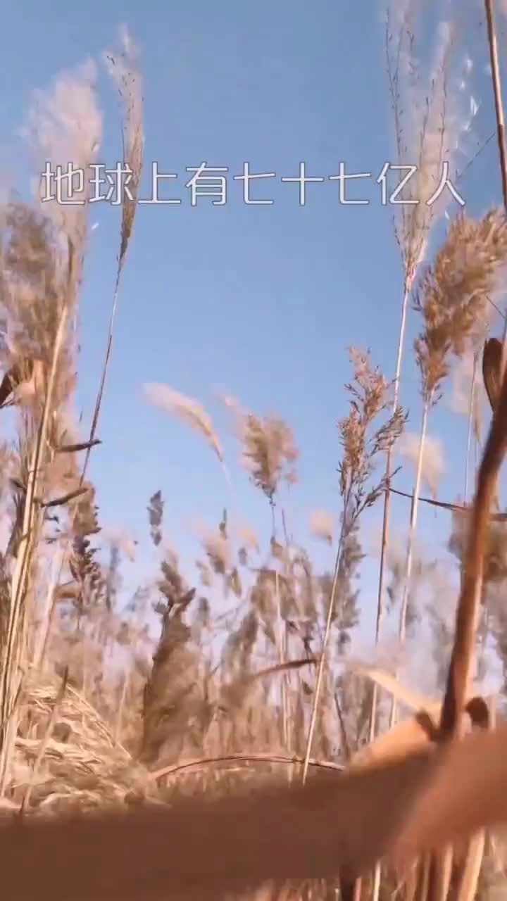 两个人遇见的概率是两千九百二十万分之一幸运如我刚好遇见了你