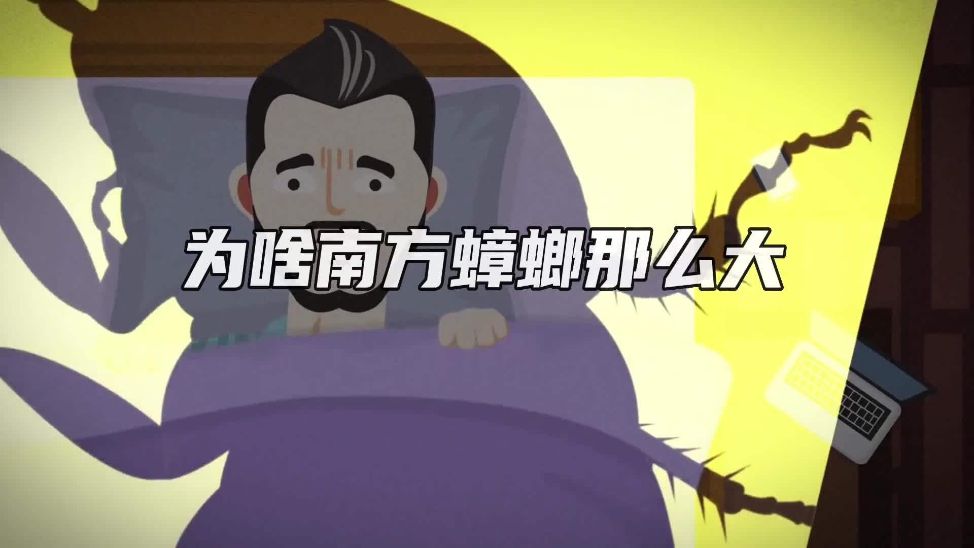 同样都是蟑螂为啥南方蟑螂长得那么大且难以杀死