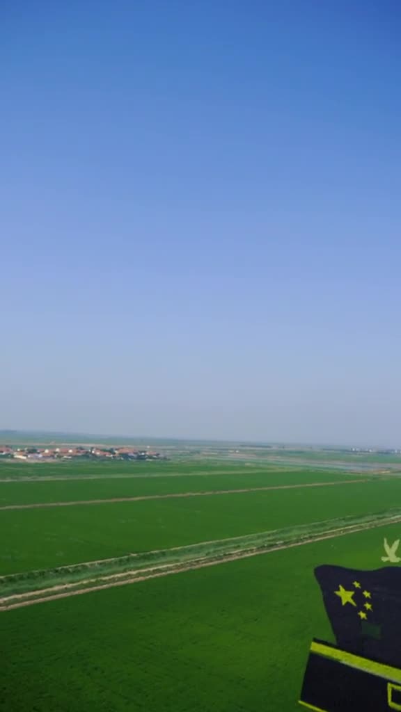 咱山东农民的杰作耗时数月用8色水稻种出百亩巨幅稻田画向伟大祖国致敬