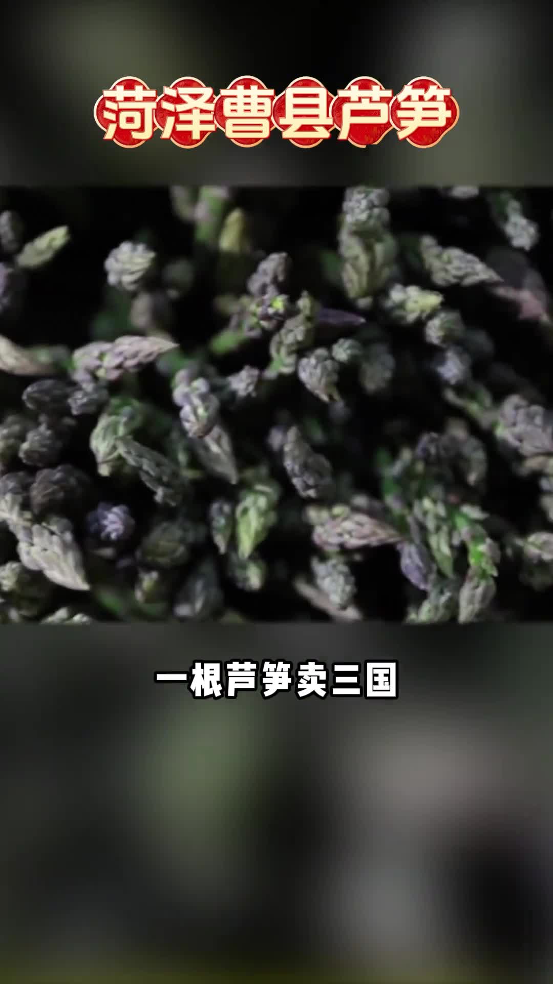 一根芦笋卖三国菏泽曹县芦笋直达外国人餐桌刺不刺激意不意外