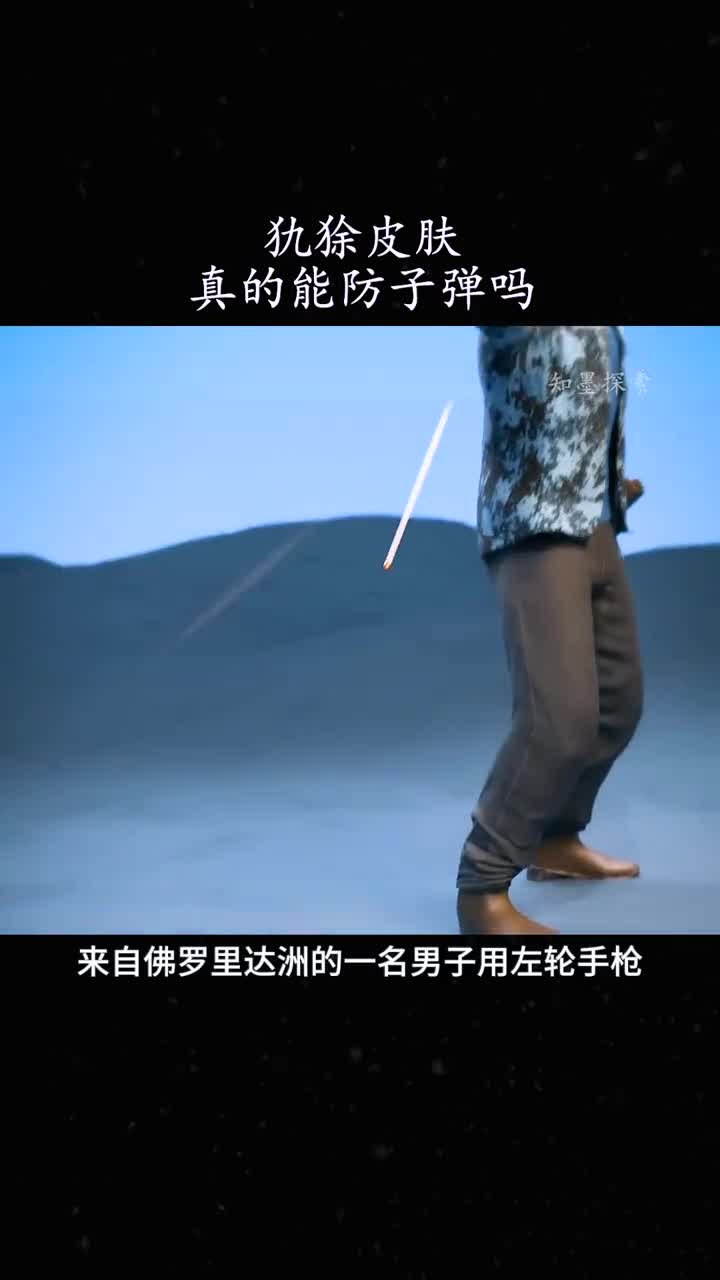 犰狳的皮肤为什么如此坚硬