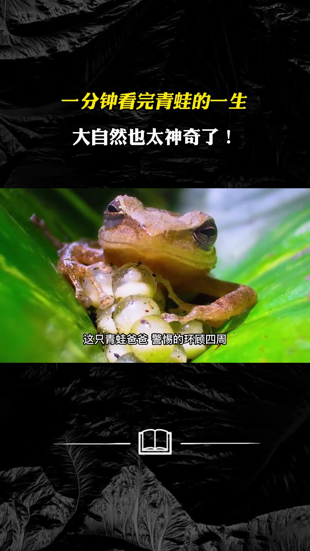 一分钟看完青蛙的一生大自然也太神奇了