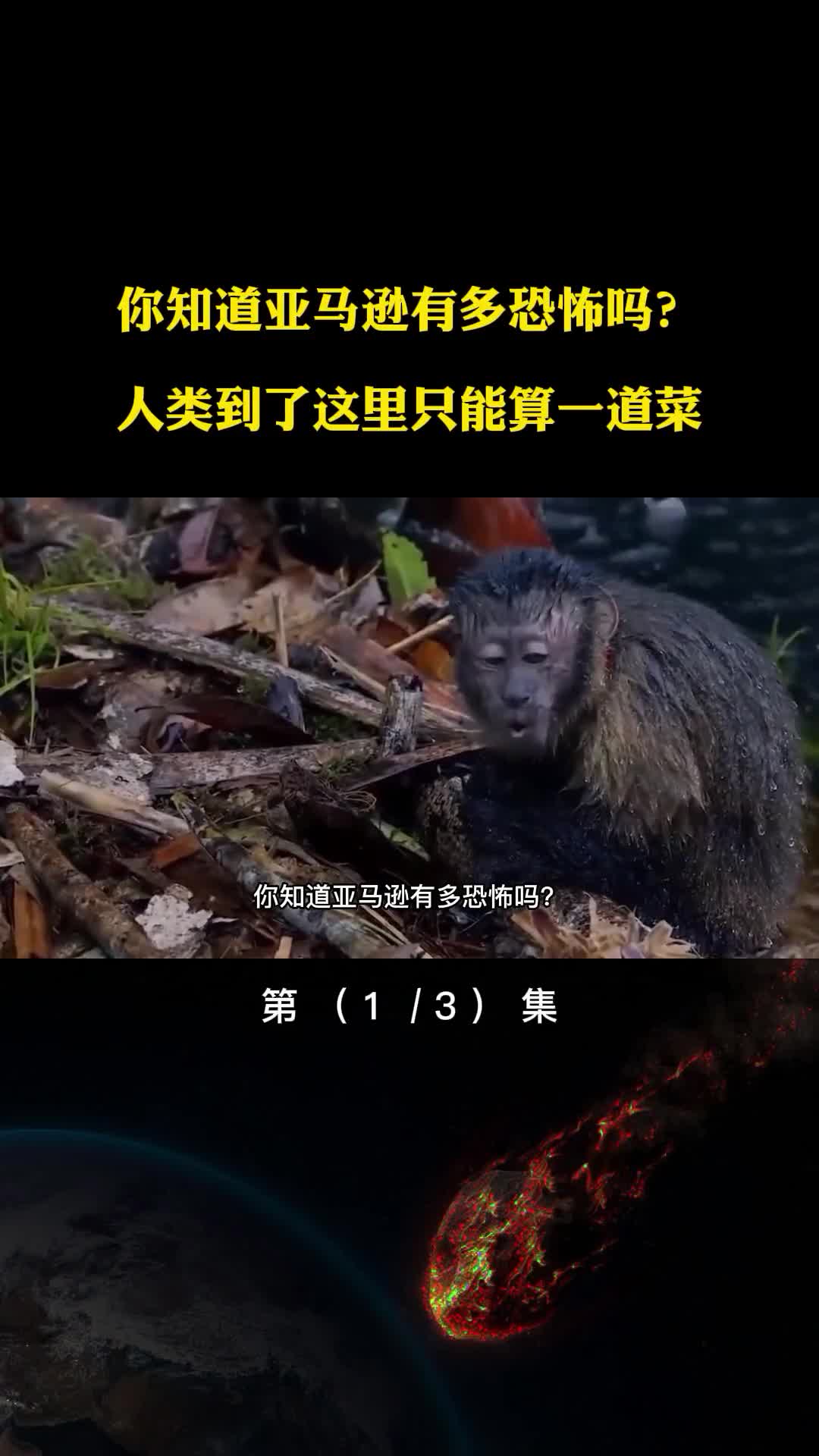 你知道亚马逊有多恐怖吗人类进入到亚马逊只能算一道菜