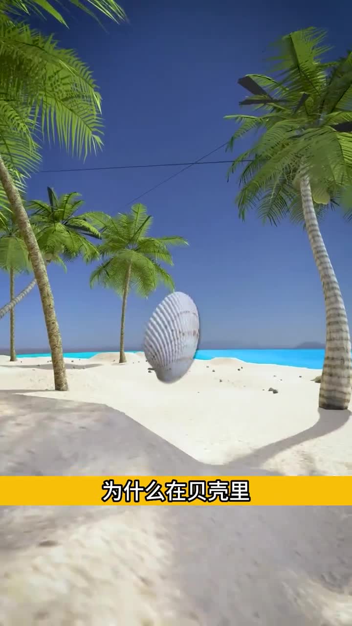 为啥用贝壳能听见海洋的声音