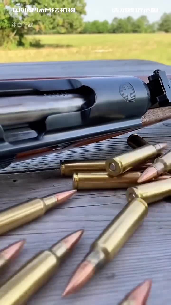 二战名枪m1加兰德毛瑟98k莫辛纳甘1891