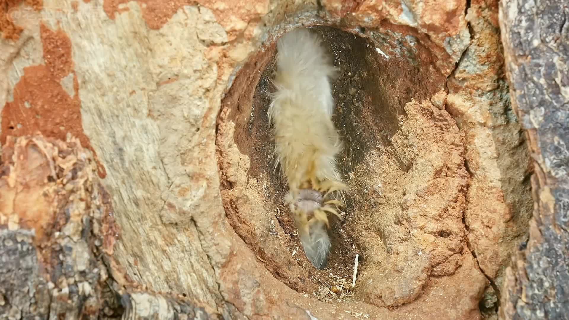 愿得一人心免得老相亲