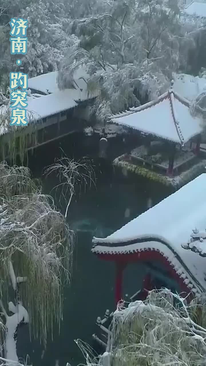 太美了雪后的山东银装素裹如诗如画快你的小伙伴一起来看场浪漫的雪吧