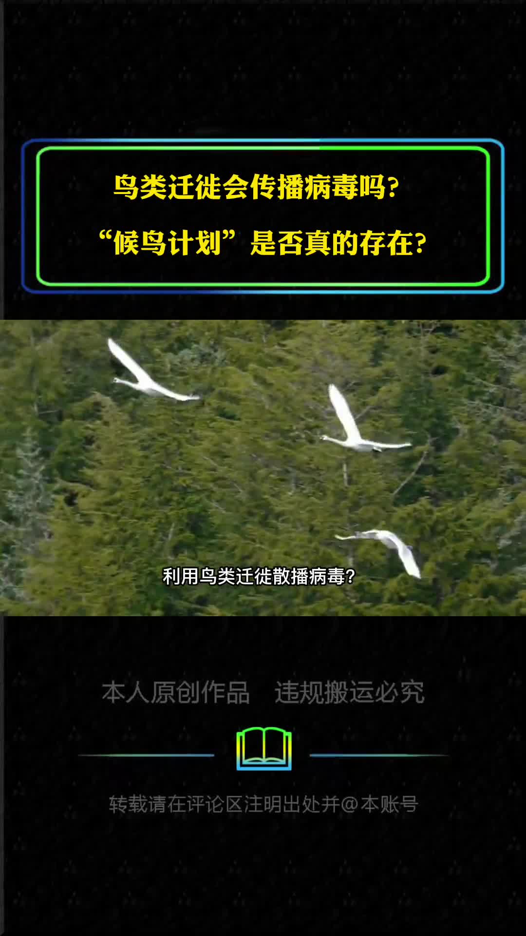 鸟类迁徙会传播病毒吗候鸟计划真存在吗鸟类携带哪些病毒