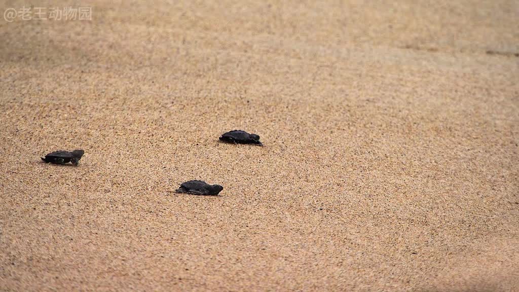 大自然的馈赠竟是我自己