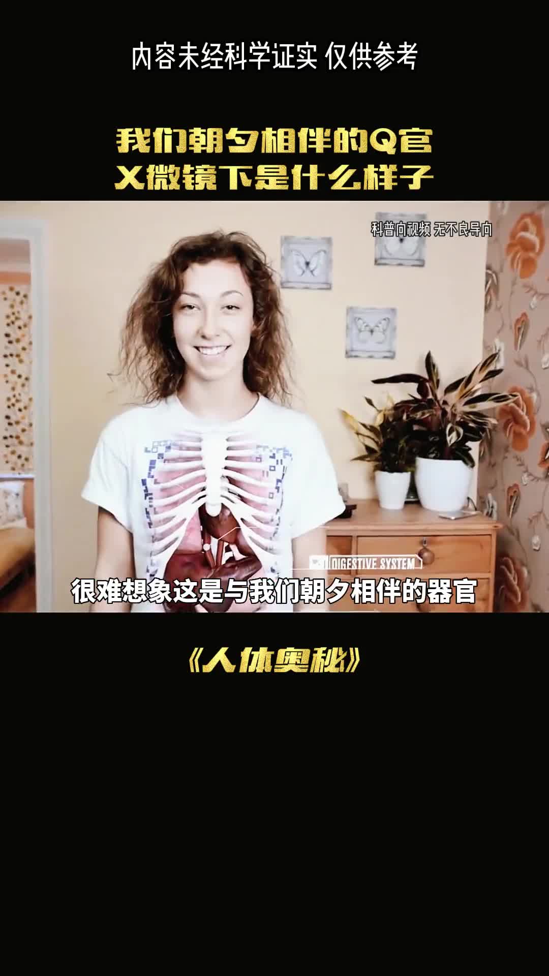 在显微镜下人体器官是什么样的