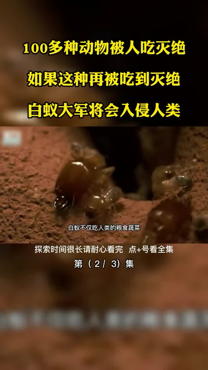 100多种动物被人吃灭绝如果这种再被吃到灭绝白蚁大军将会入侵人类第2集