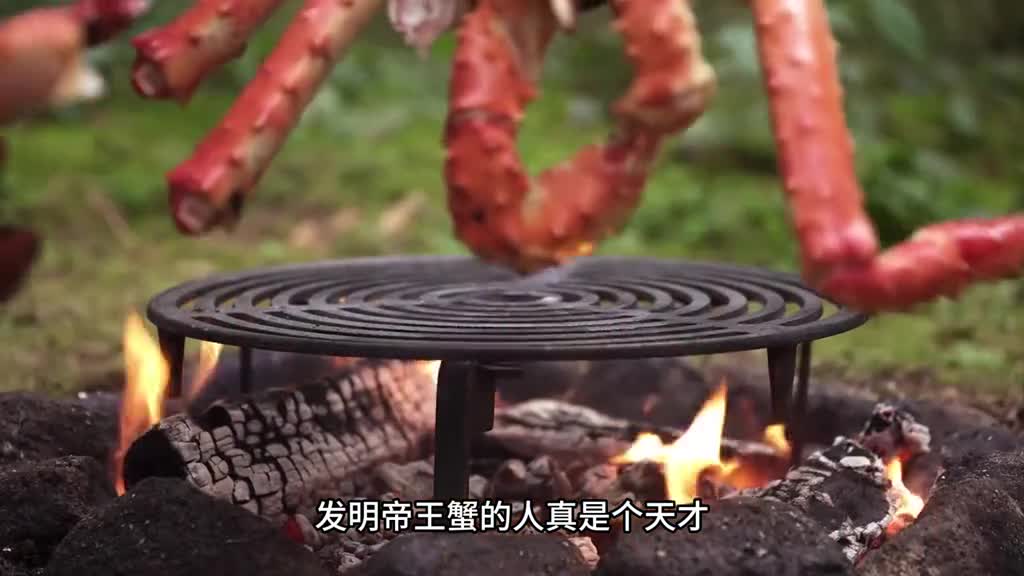 顿顿飞禽走兽不然吃一口帝王蟹肉