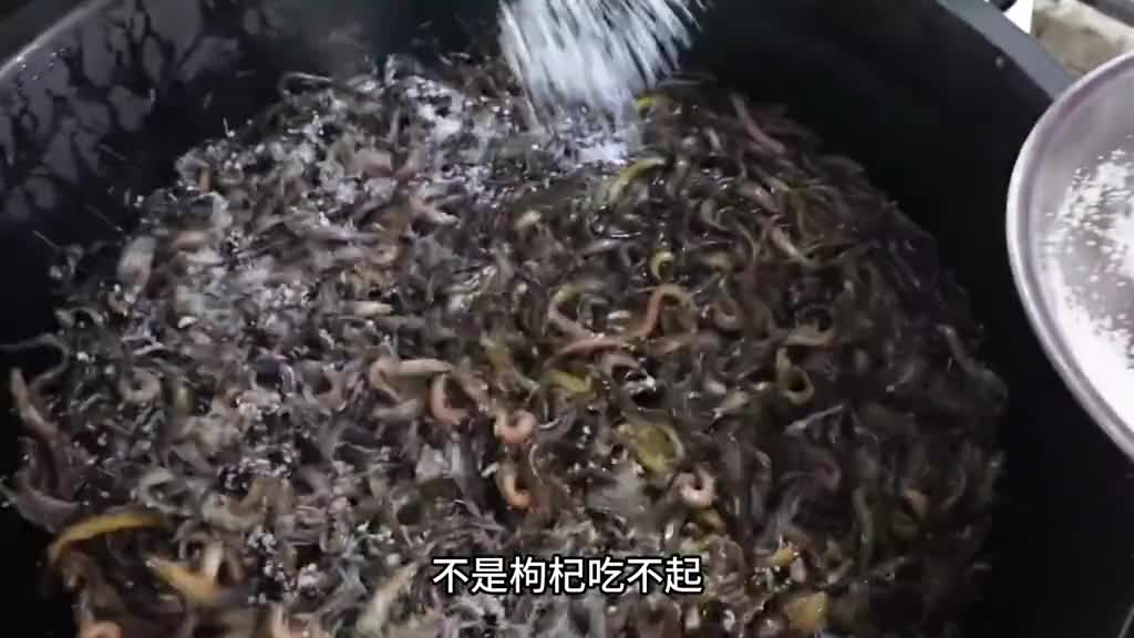 很多人小时候都抓过但你知道它有多好吃吗