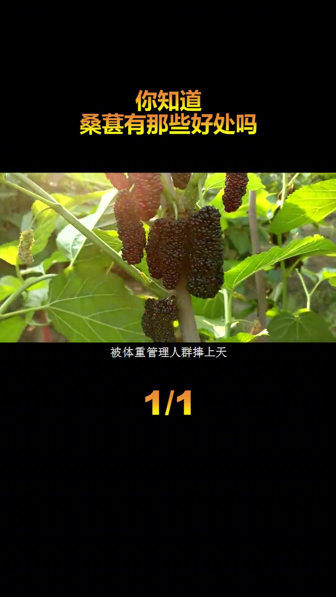 天热了多喝水不喜欢喝水的一定要试试这个