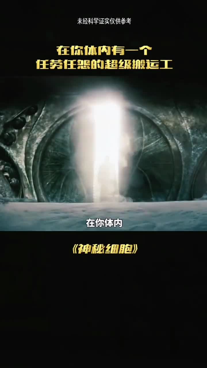 感谢你体内的任劳任怨的搬运工