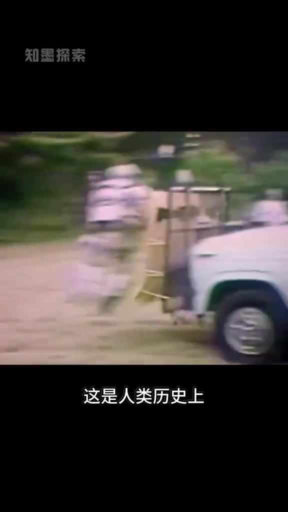 人类第一套防熊服装