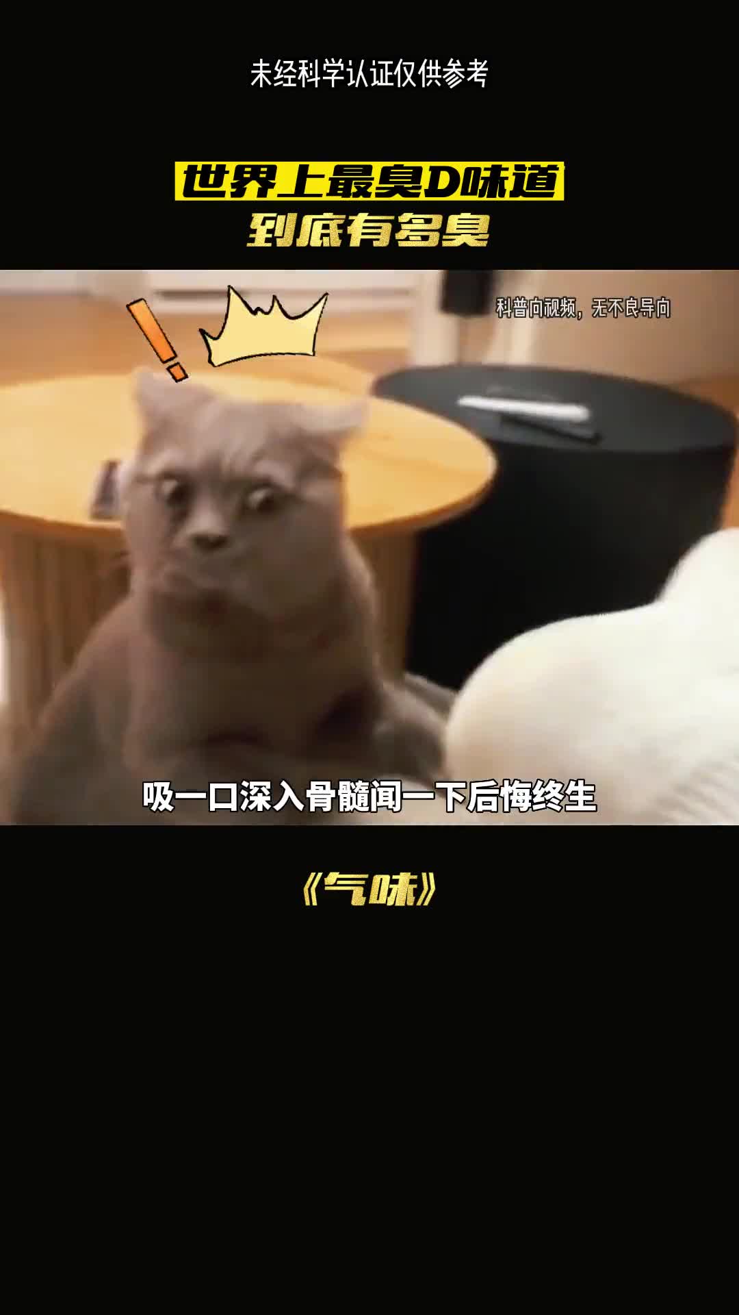 难闻的气味最后一个无人抵抗