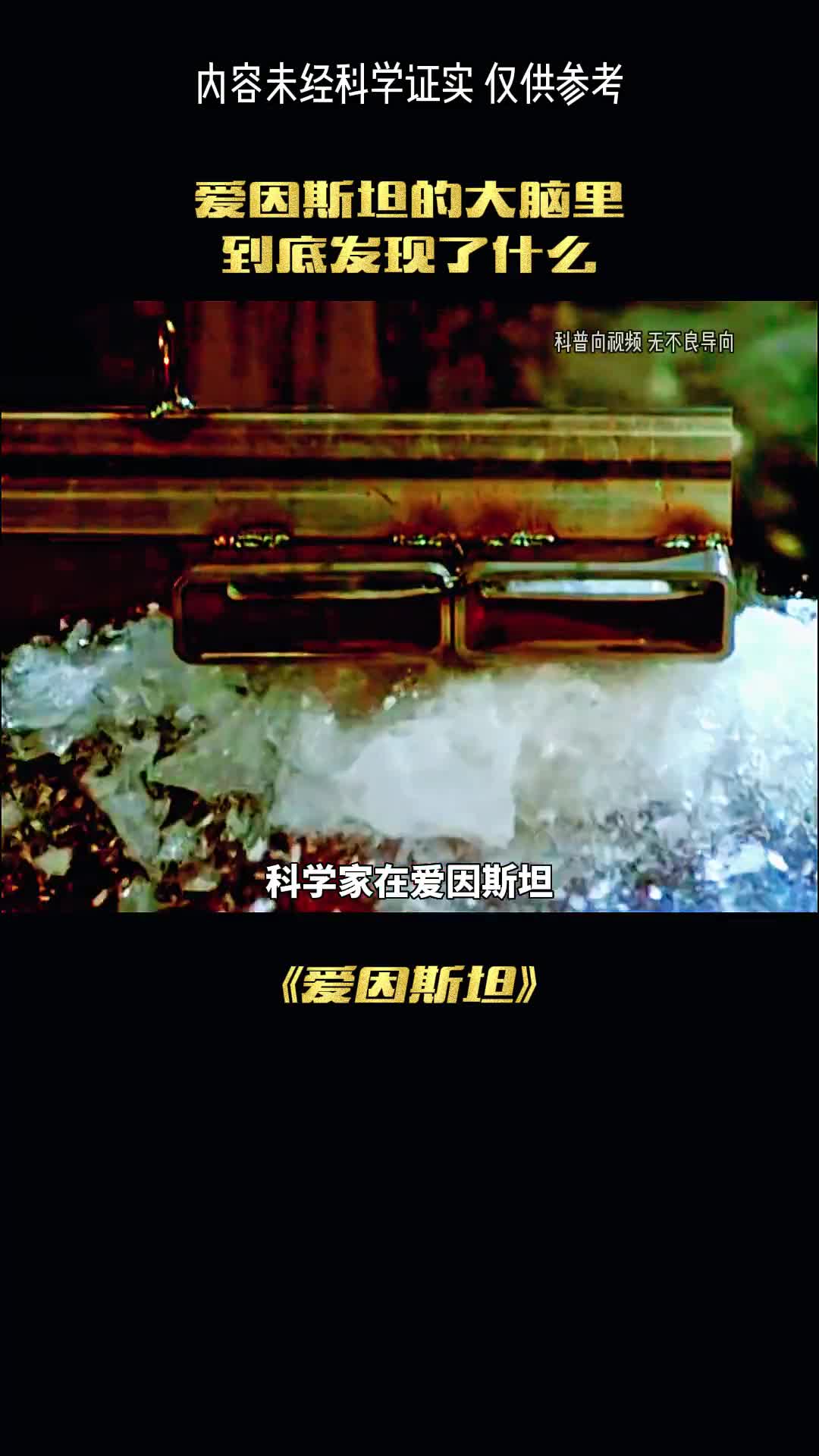 是谁盗走了爱因斯坦的大脑