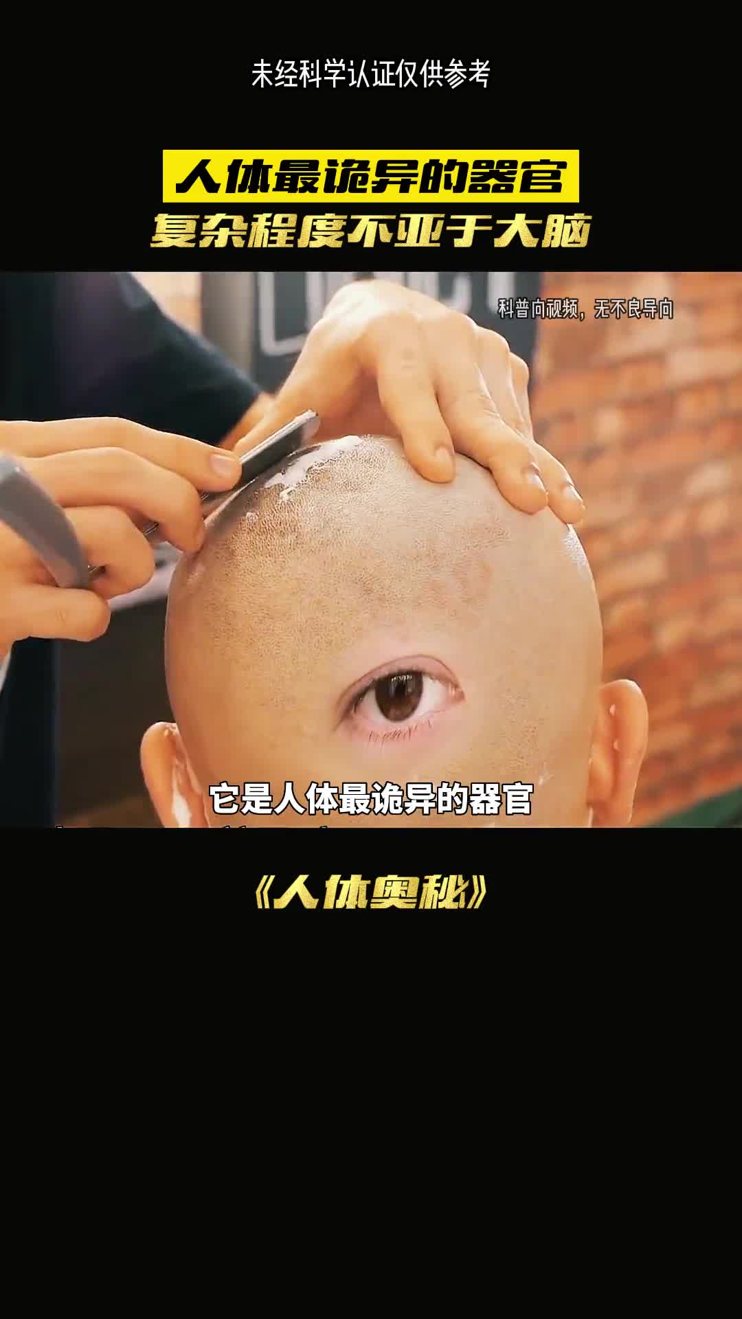 是连达尔文都否定的进化的器官