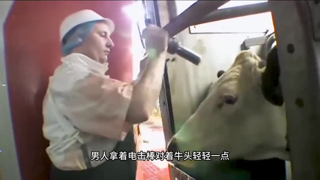 原来牛肉干是这样制作的