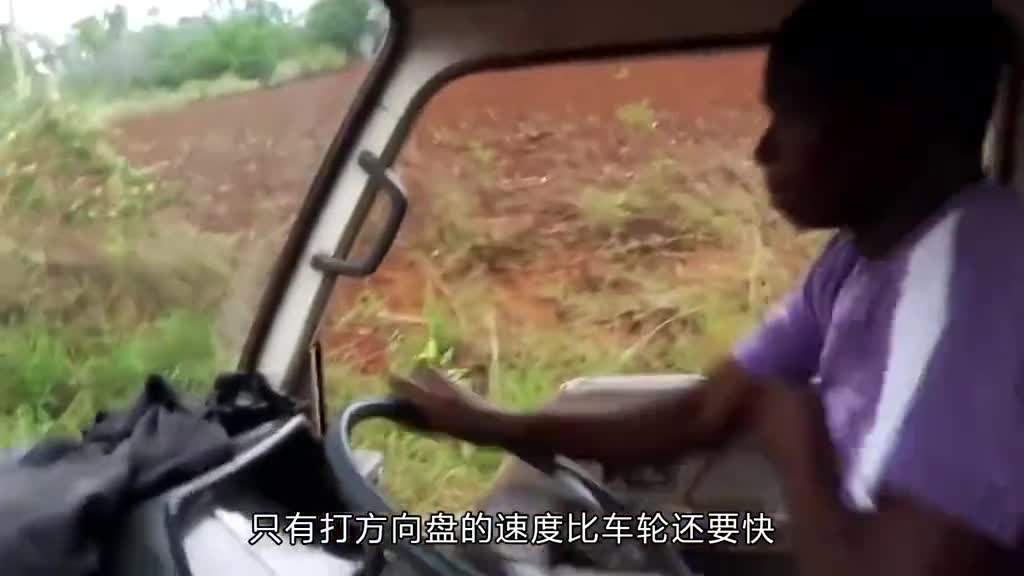 小小的鲍鱼果原来如此的不简单