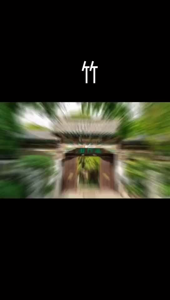 中午十一点锁定直播间带你赏竹