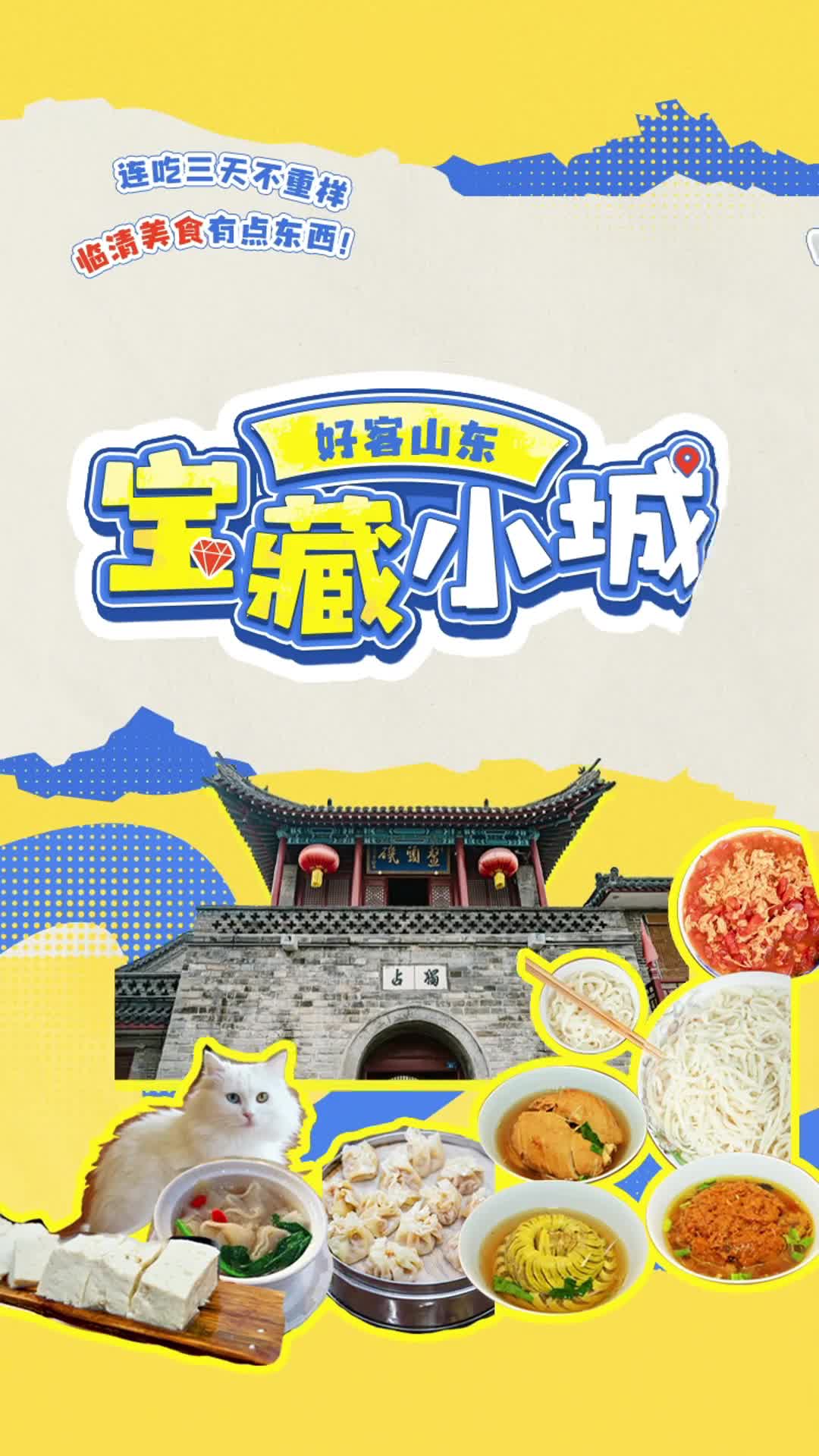 它是国产猫咪中的颜值天花板打卡临清宝藏之最萌名片狮子猫