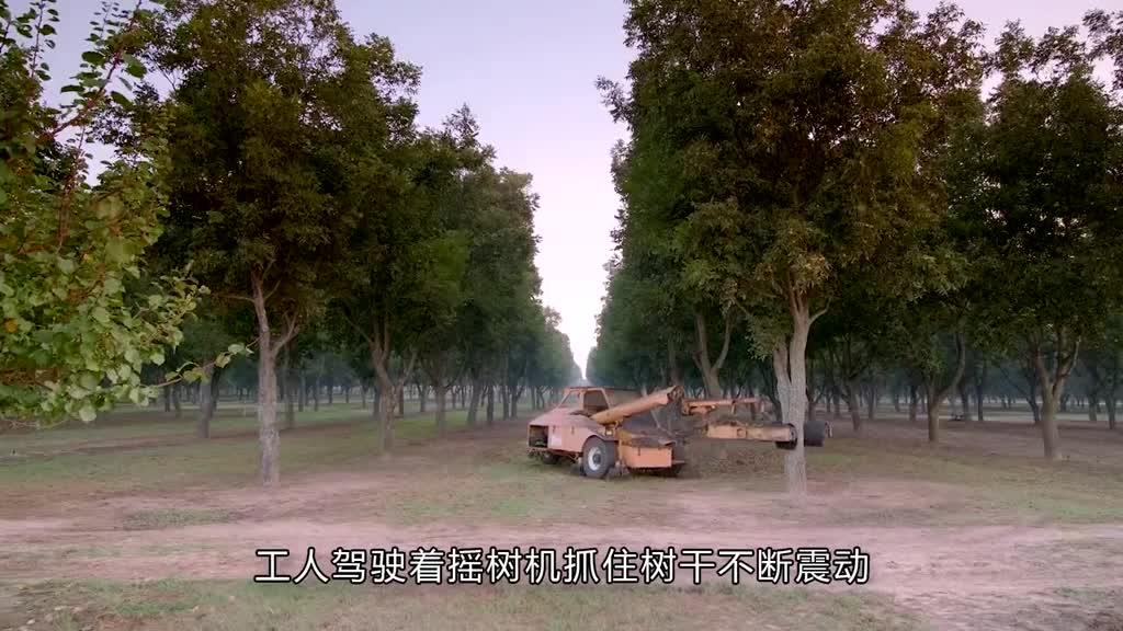 国之实力让我们实现了