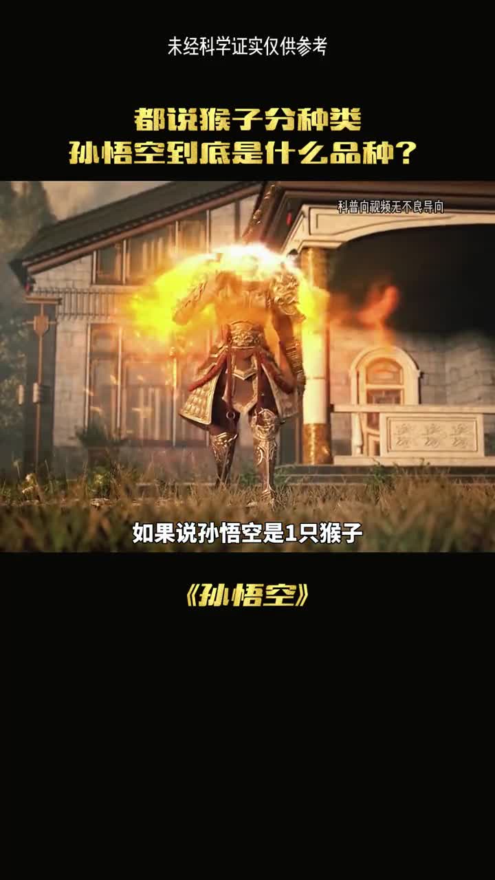 如果说悟空是个猴子他会是什么品种呢