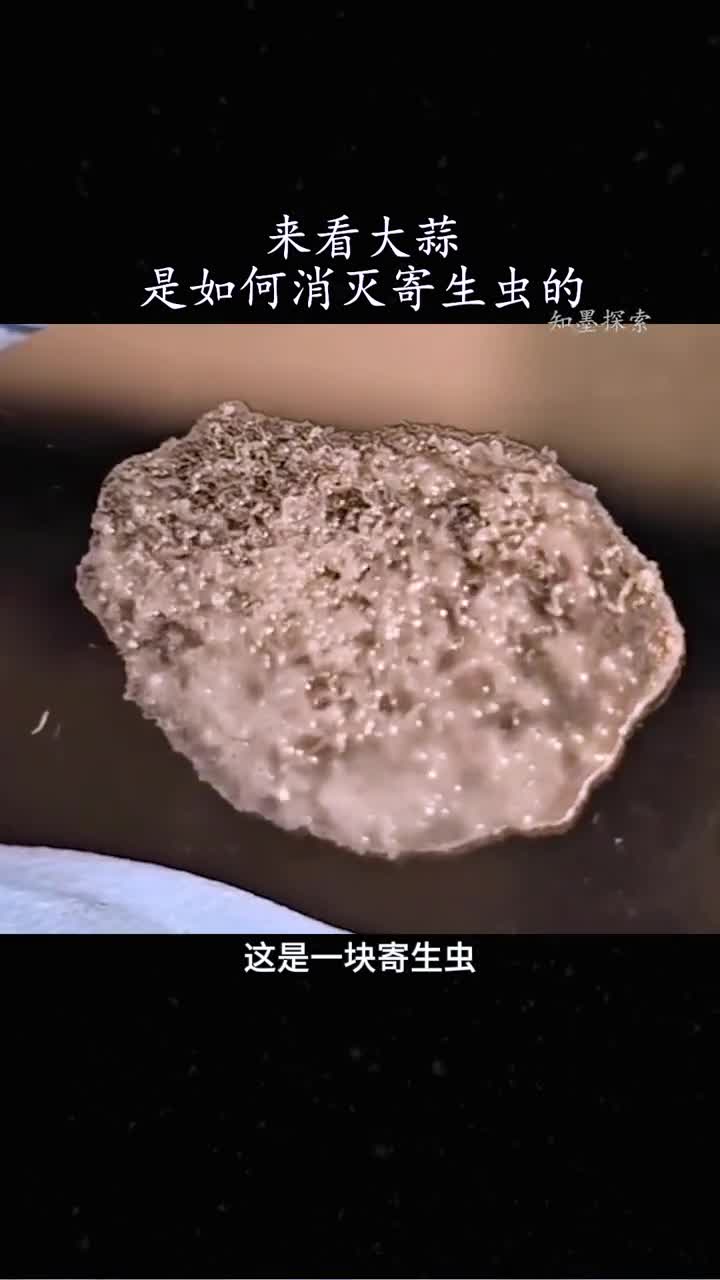 大蒜为什么可以消灭细菌