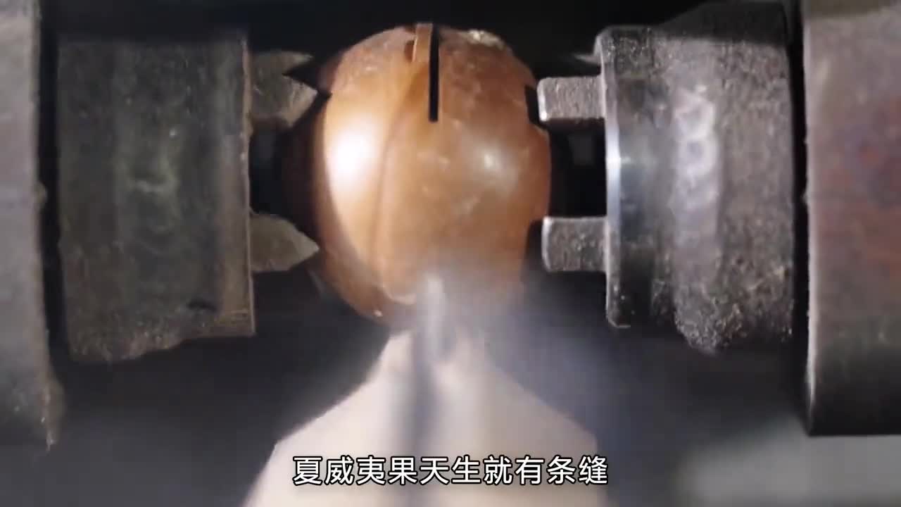 明明产自澳洲却被带到美国成了夏威夷果