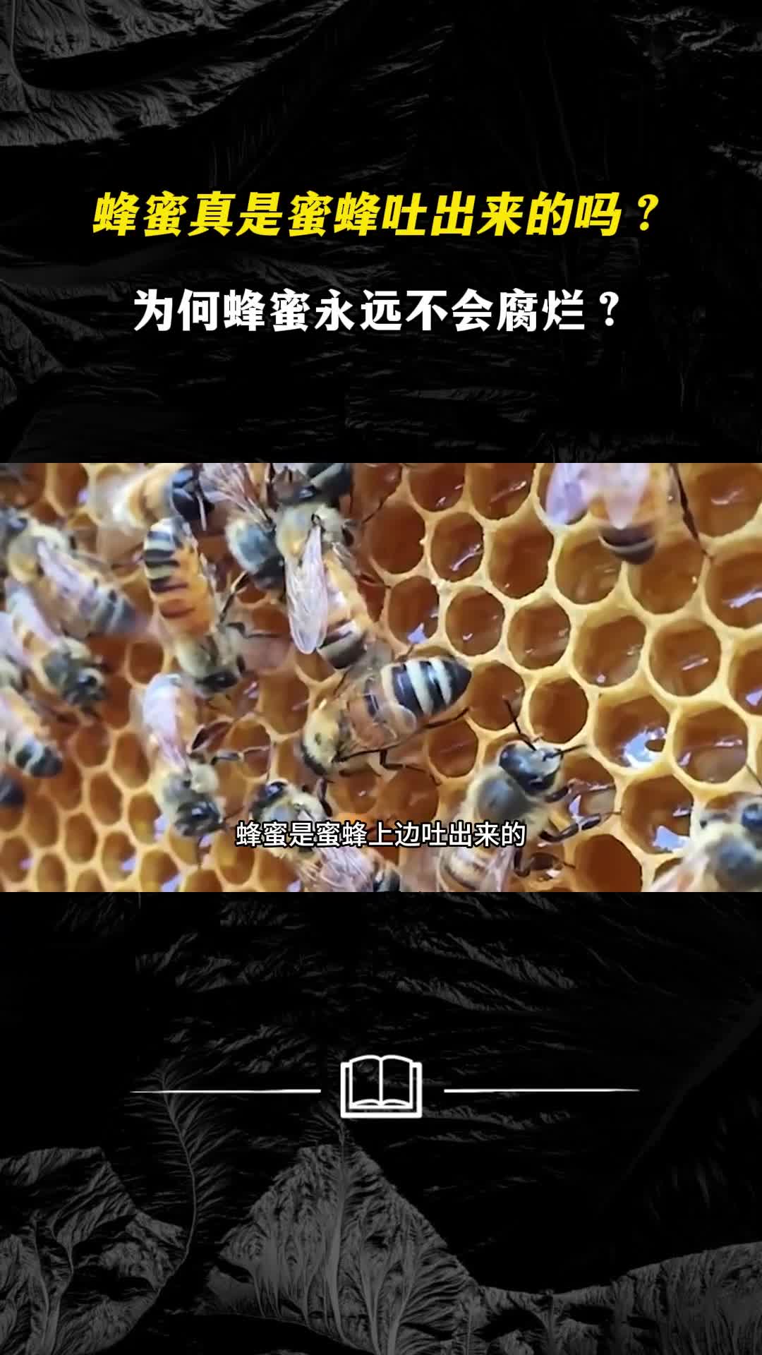 蜂蜜真是蜜蜂吐出来的吗为何蜂蜜永远不会腐烂