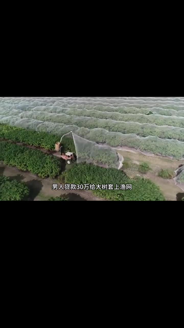 你喝过这样的苹果汁的