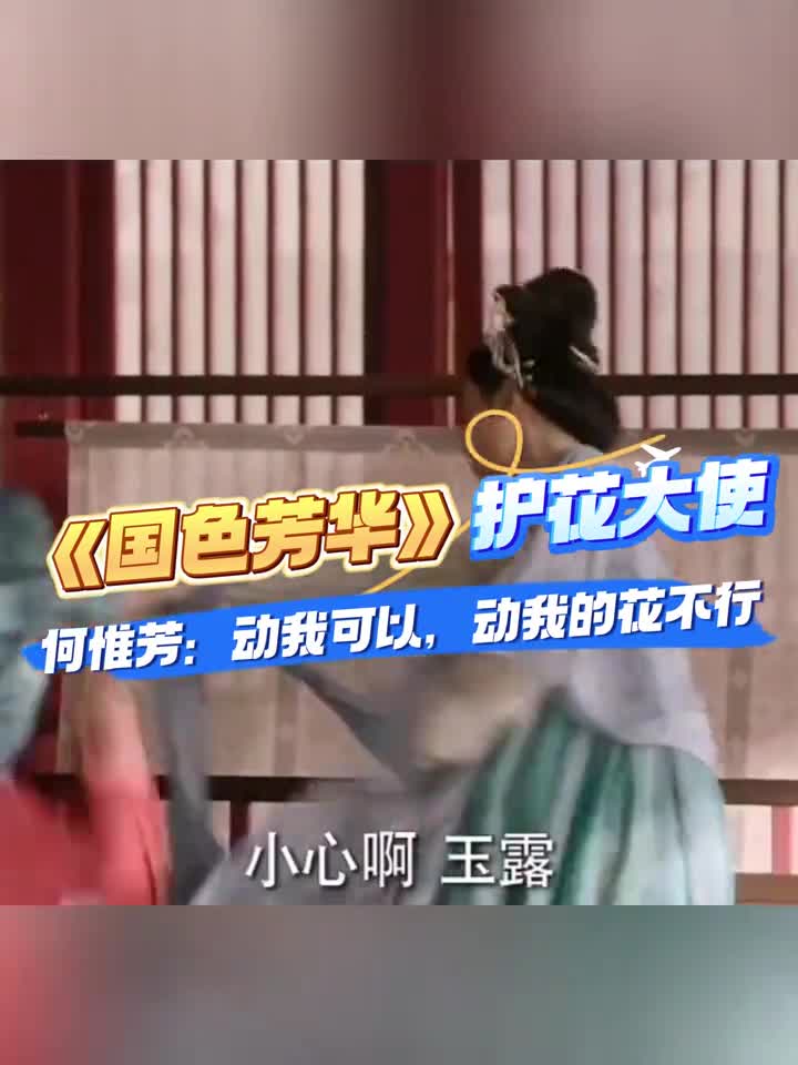 动我可以动我的花不行和护花大使