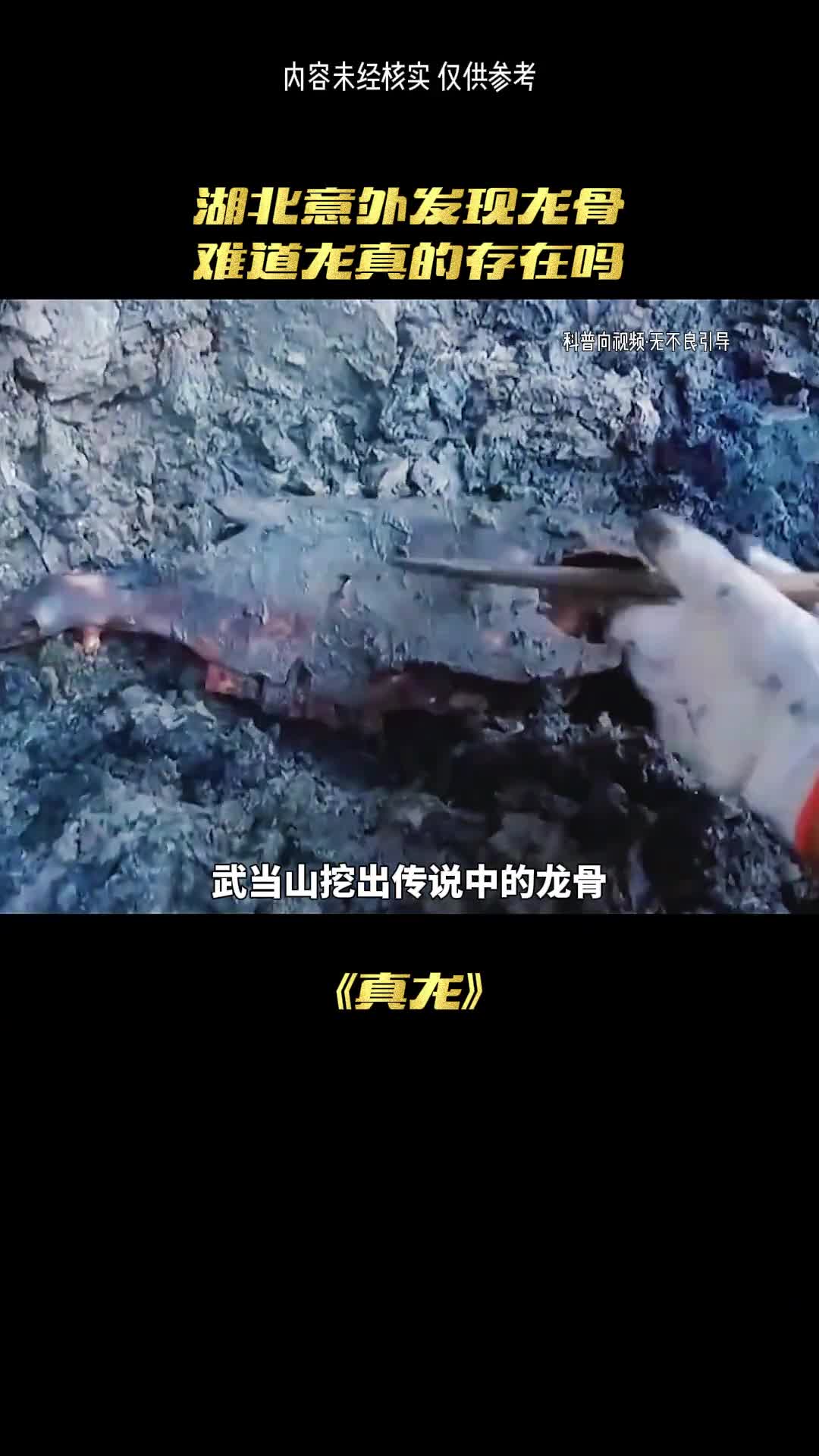 神龙真的存在吗