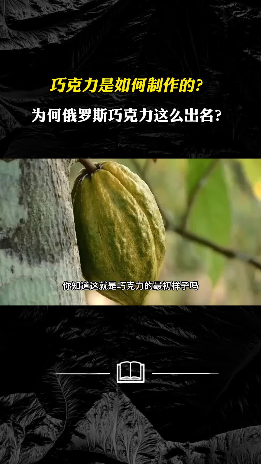 巧克力是如何制作的为何俄罗斯巧克力这么出名