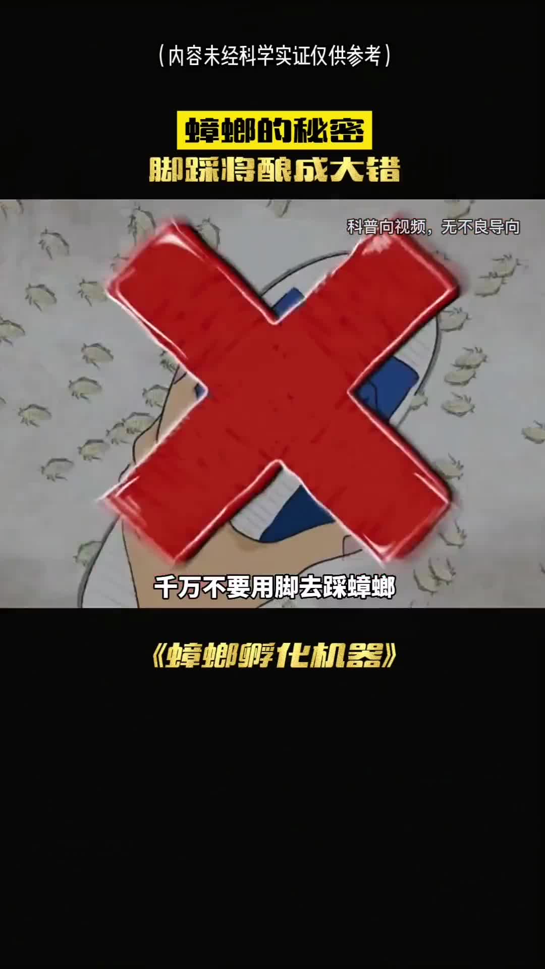 千万不要去踩小强你将会酿成大错