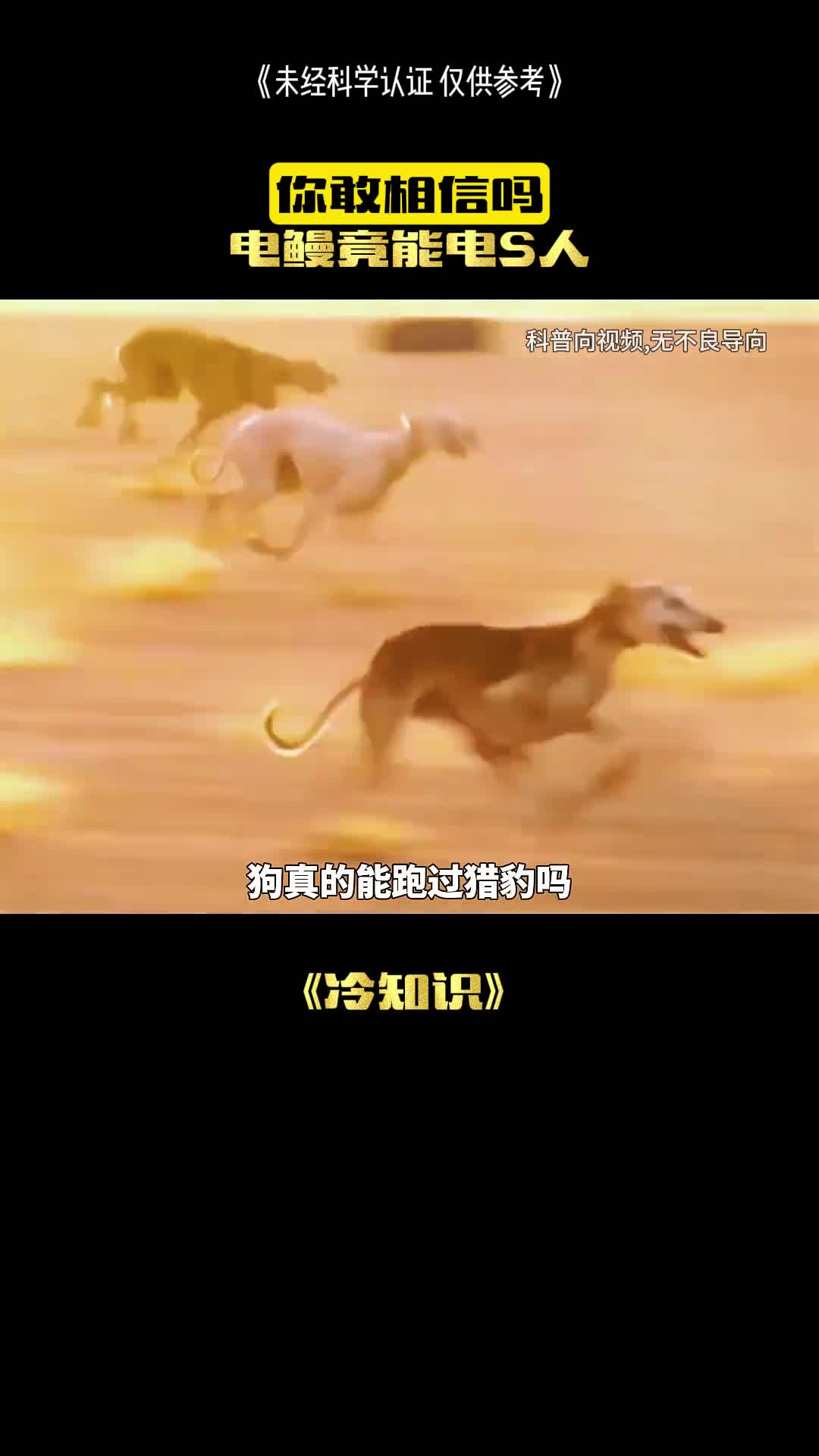 电鳗真的有这么牛吗