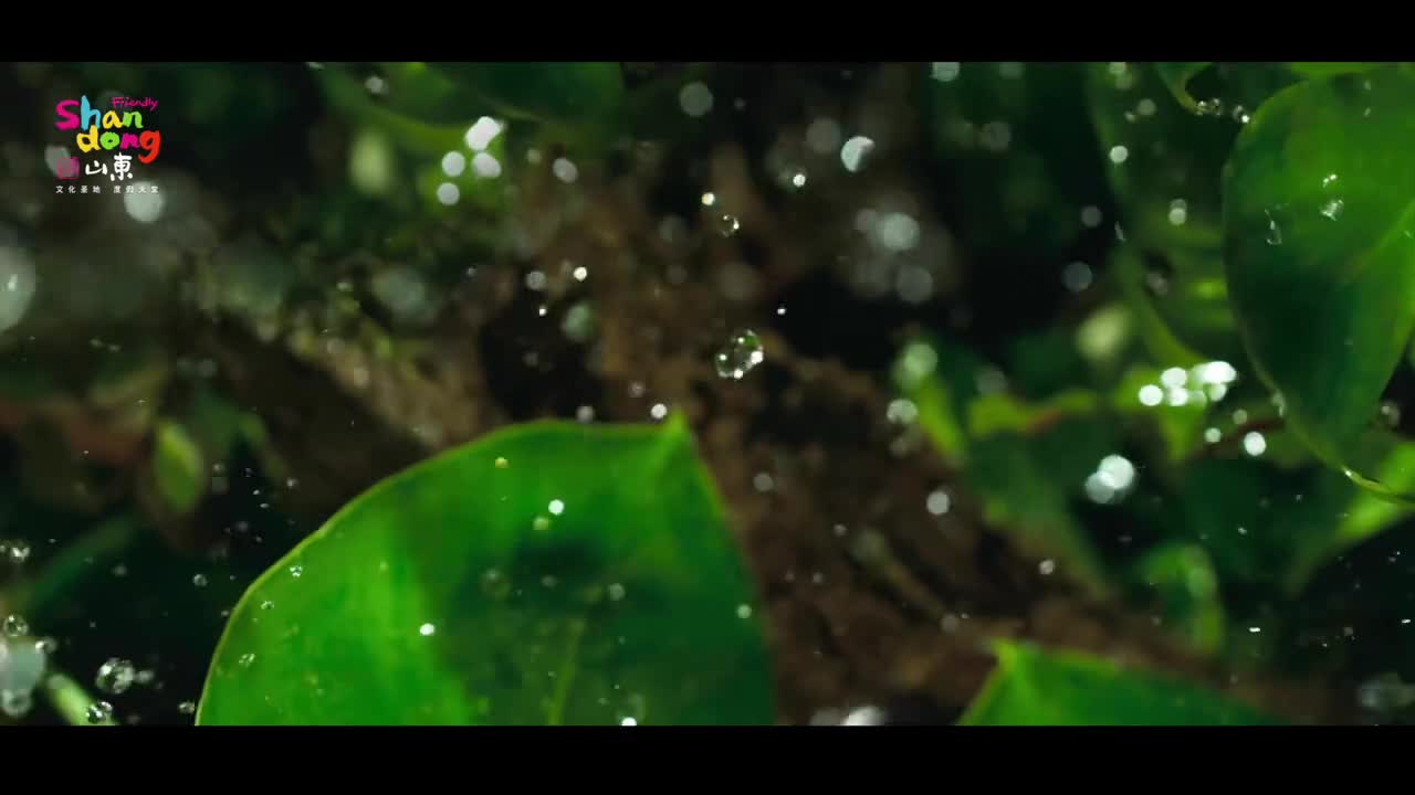 向海出发山东一夏这个夏天出发去海边吧