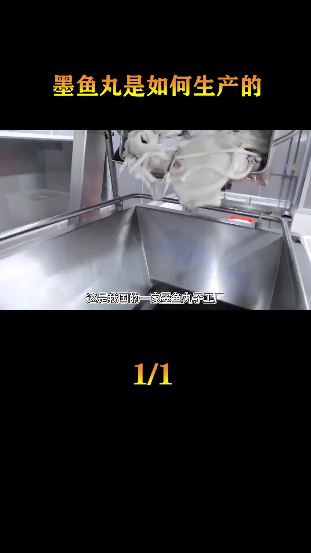 墨鱼是如何变成鲜美弹牙的墨鱼丸