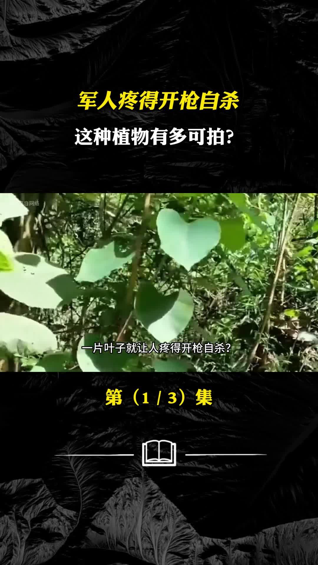 军人疼得开枪自杀这种植物有多可拍
