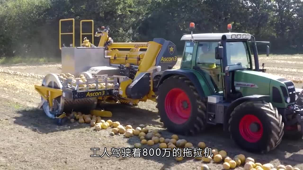 吃南瓜子对男性有什么好处