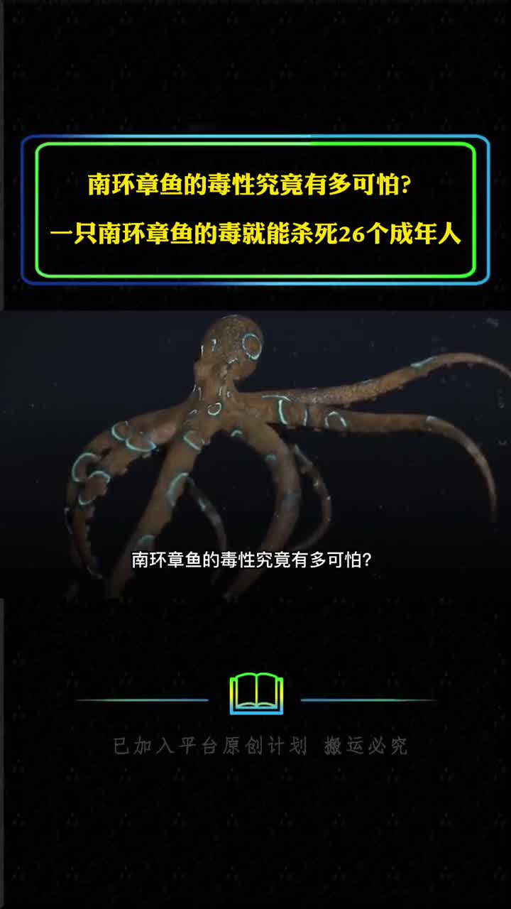 蓝环章鱼的毒性究竟有多可怕一只南环章鱼的毒能杀死26人