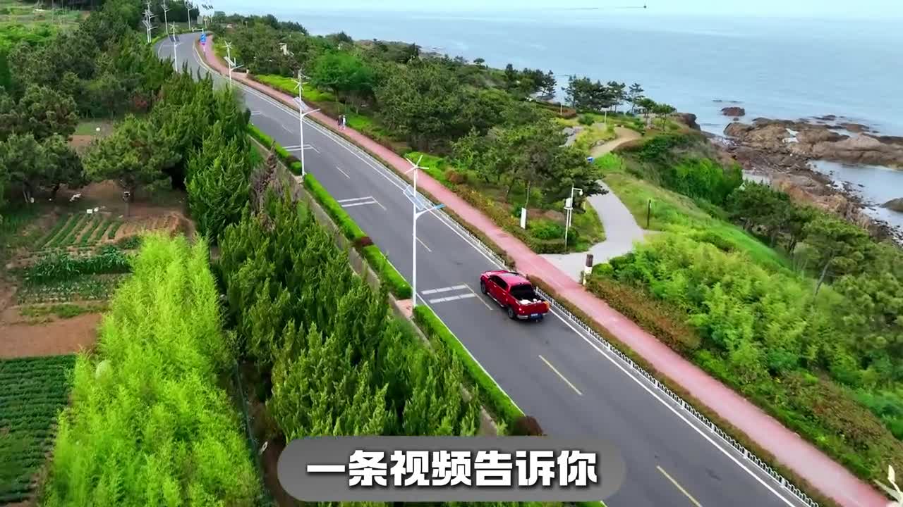 一条视频告诉你8月在山东到底有多忙