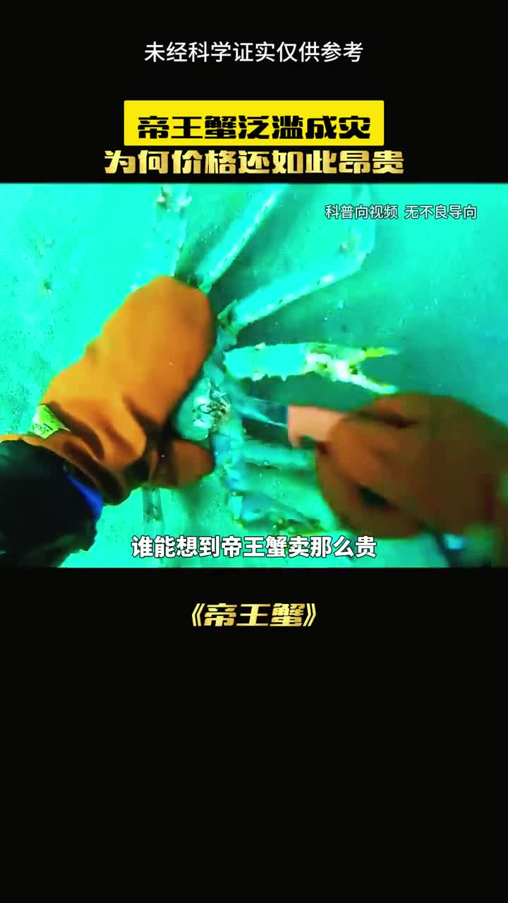 帝王蟹昂贵得原因竟然是一场笑话