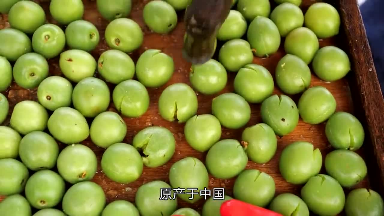 青梅酒是如何制作的