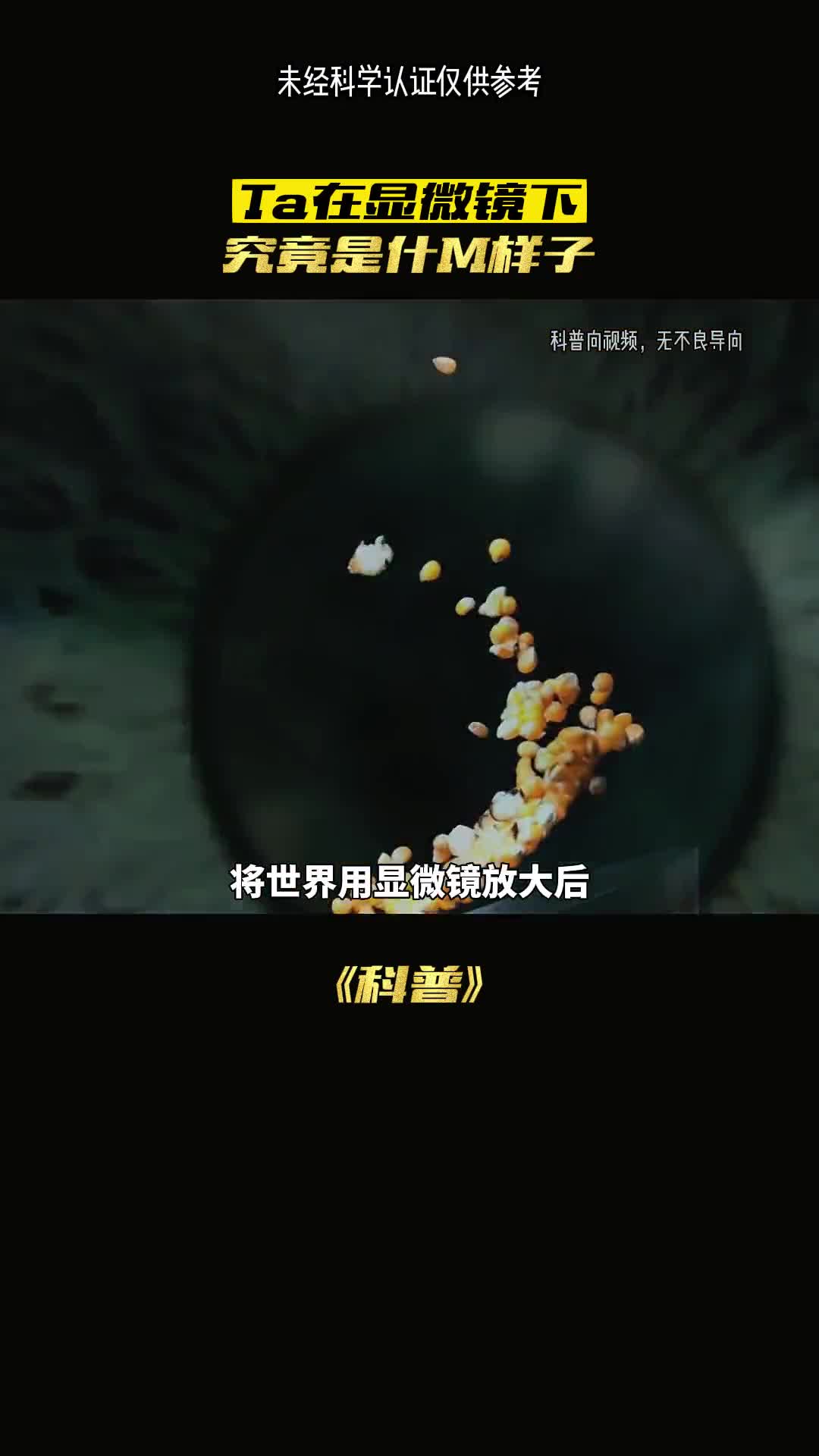 显微镜下的螨虫是什么样