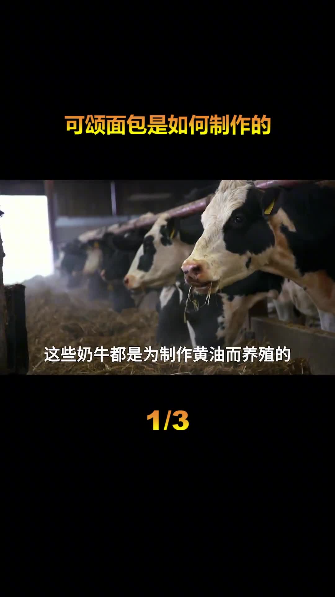 世界最大的可颂工厂只有316名员工1天生产336万个可颂面包