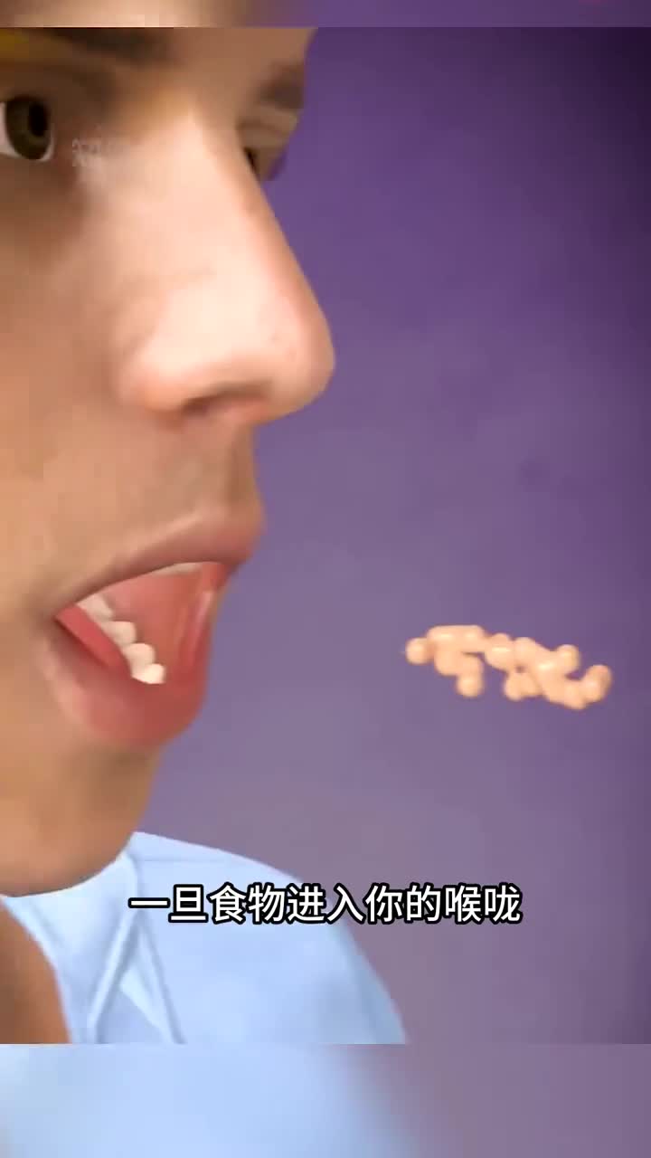 为什么食物不直进入鼻子里呢