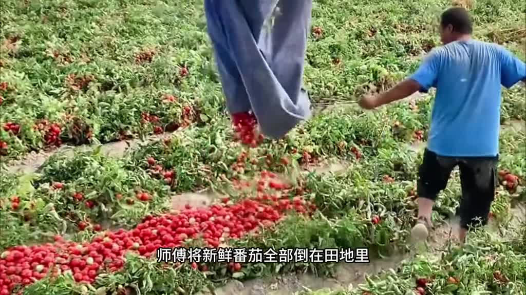 我挖到了一款适合全家人一起喝的番茄汁满满的番茄红素和维生素酸甜浓郁好喝又营养